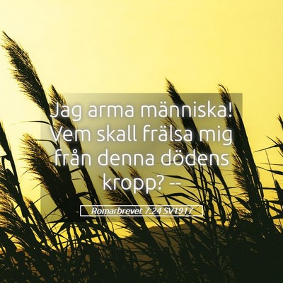 Picture 05 - Romarbrevet 7:24 SV1917 - Jag arma människa! Vem skall frälsa mig från - Bible Verse Picture