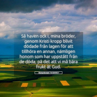 Picture 05 - Romarbrevet 7:4 SV1917 - Så haven ock I, mina bröder, genom Kristi kropp - Bible Verse Picture