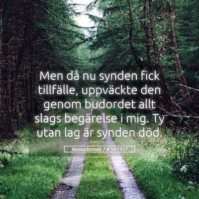 Picture 05 - Romarbrevet 7:8 SV1917 - Men då nu synden fick tillfälle, uppväckte den - Bible Verse Picture