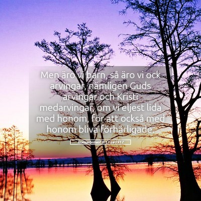 Picture 05 - Romarbrevet 8:17 SV1917 - Men äro vi barn, så äro vi ock arvingar, - Bible Verse Picture