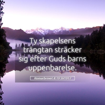 Picture 05 - Romarbrevet 8:19 SV1917 - Ty skapelsens trängtan sträcker sig efter Guds - Bible Verse Picture