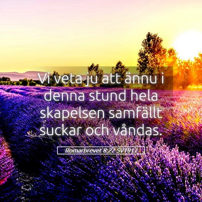 Picture 05 - Romarbrevet 8:22 SV1917 - Vi veta ju att ännu i denna stund hela skapelsen - Bible Verse Picture
