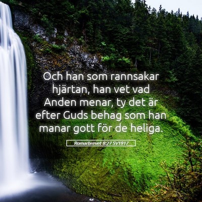 Picture 05 - Romarbrevet 8:27 SV1917 - Och han som rannsakar hjärtan, han vet vad Anden - Bible Verse Picture