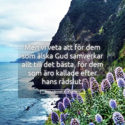 Picture 05 - Romarbrevet 8:28 SV1917 - Men vi veta att för dem som älska Gud samverkar - Bible Verse Picture