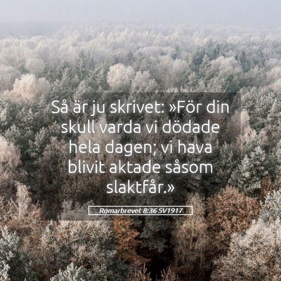 Picture 05 - Romarbrevet 8:36 SV1917 - Så är ju skrivet: »För din skull varda vi - Bible Verse Picture
