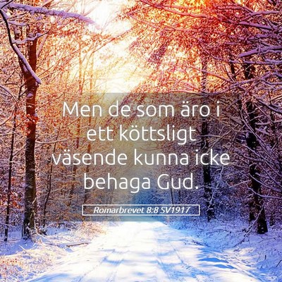 Picture 05 - Romarbrevet 8:8 SV1917 - Men de som äro i ett köttsligt väsende kunna - Bible Verse Picture
