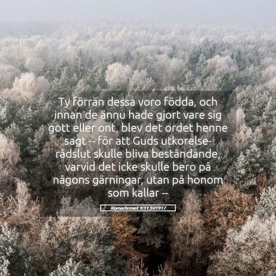 Picture 05 - Romarbrevet 9:11 SV1917 - Ty förrän dessa voro födda, och innan de ännu - Bible Verse Picture