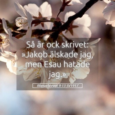 Picture 05 - Romarbrevet 9:13 SV1917 - Så är ock skrivet: »Jakob älskade jag, men - Bible Verse Picture