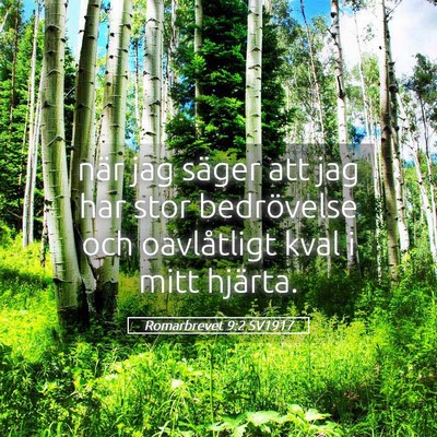 Picture 05 - Romarbrevet 9:2 SV1917 - när jag säger att jag har stor bedrövelse och - Bible Verse Picture