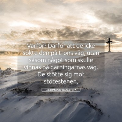 Picture 05 - Romarbrevet 9:32 SV1917 - Varför? Därför att de icke sökte den på - Bible Verse Picture