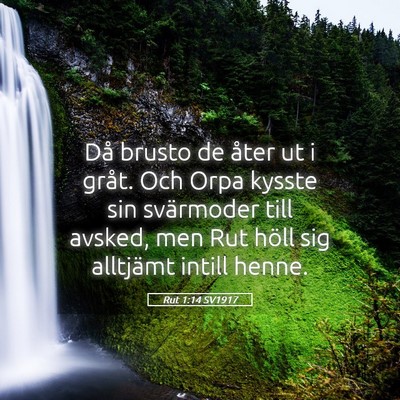 Picture 05 - Rut 1:14 SV1917 - Då brusto de åter ut i gråt. Och Orpa kysste - Bible Verse Picture