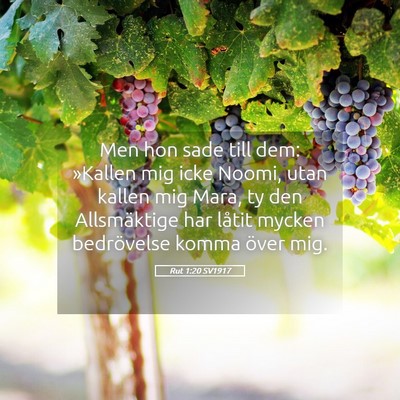 Picture 05 - Rut 1:20 SV1917 - Men hon sade till dem: »Kallen mig icke Noomi, - Bible Verse Picture