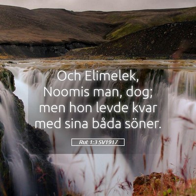 Picture 05 - Rut 1:3 SV1917 - Och Elimelek, Noomis man, dog; men hon levde kvar - Bible Verse Picture