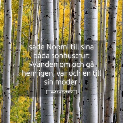 Picture 05 - Rut 1:8 SV1917 - sade Noomi till sina båda sonhustrur: »Vänden - Bible Verse Picture