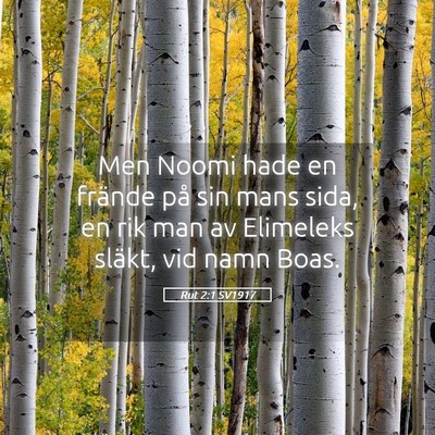 Picture 05 - Rut 2:1 SV1917 - Men Noomi hade en frände på sin mans sida, en - Bible Verse Picture