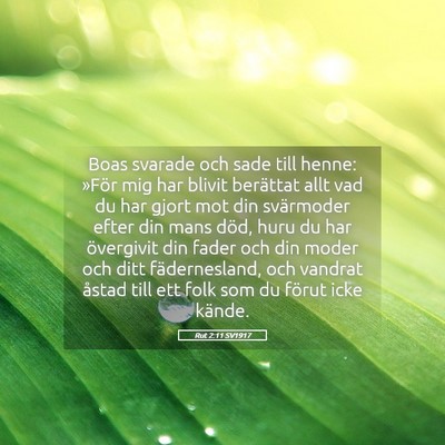 Picture 05 - Rut 2:11 SV1917 - Boas svarade och sade till henne: »För mig har - Bible Verse Picture