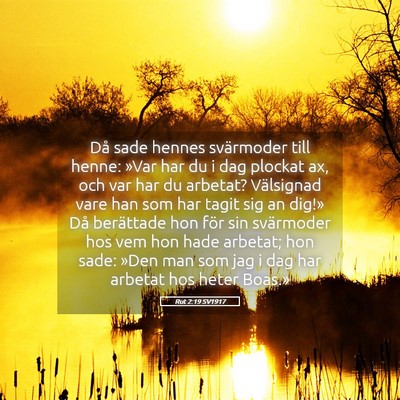 Picture 05 - Rut 2:19 SV1917 - Då sade hennes svärmoder till henne: »Var har - Bible Verse Picture