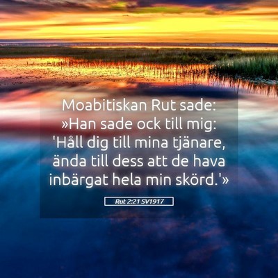 Picture 05 - Rut 2:21 SV1917 - Moabitiskan Rut sade: »Han sade ock till mig: - Bible Verse Picture