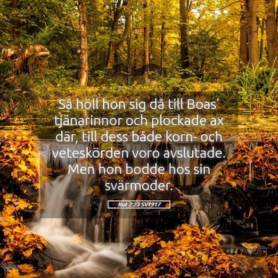Picture 05 - Rut 2:23 SV1917 - Så höll hon sig då till Boas' tjänarinnor och - Bible Verse Picture
