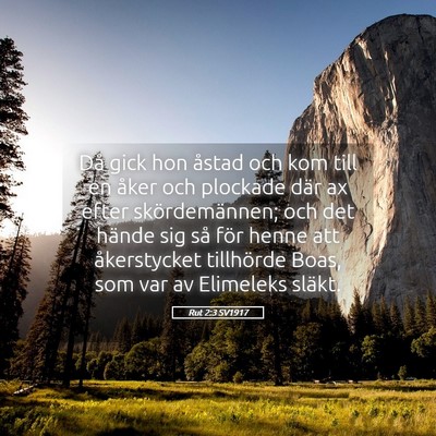 Picture 05 - Rut 2:3 SV1917 - Då gick hon åstad och kom till en åker och - Bible Verse Picture