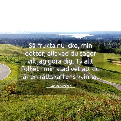 Picture 05 - Rut 3:11 SV1917 - Så frukta nu icke, min dotter; allt vad du - Bible Verse Picture