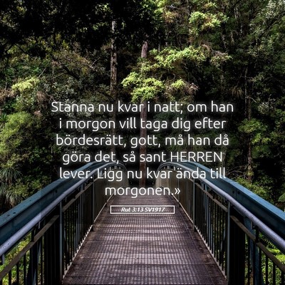Picture 05 - Rut 3:13 SV1917 - Stanna nu kvar i natt; om han i morgon vill taga - Bible Verse Picture