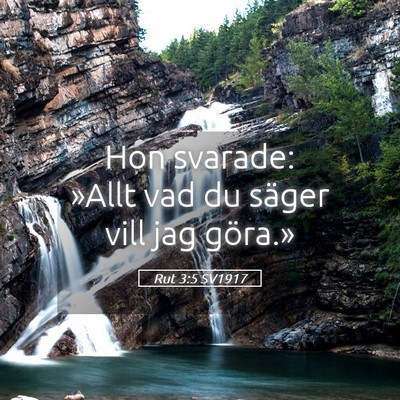 Picture 05 - Rut 3:5 SV1917 - Hon svarade: »Allt vad du säger vill jag - Bible Verse Picture