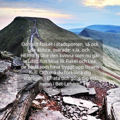 Picture 05 - Rut 4:11 SV1917 - Och allt folket i stadsporten, så ock de - Bible Verse Picture