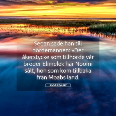 Picture 05 - Rut 4:3 SV1917 - Sedan sade han till bördemannen: »Det - Bible Verse Picture