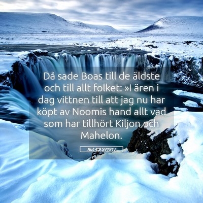 Picture 05 - Rut 4:9 SV1917 - Då sade Boas till de äldste och till allt - Bible Verse Picture