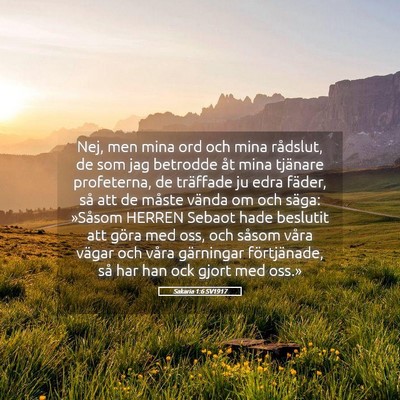 Picture 05 - Sakaria 1:6 SV1917 - Nej, men mina ord och mina rådslut, de som jag - Bible Verse Picture