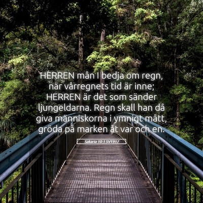 Picture 05 - Sakaria 10:1 SV1917 - HERREN mån I bedja om regn, när vårregnets tid - Bible Verse Picture