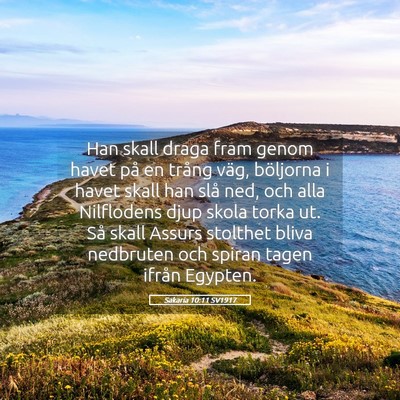 Picture 05 - Sakaria 10:11 SV1917 - Han skall draga fram genom havet på en trång - Bible Verse Picture