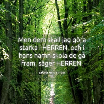 Picture 05 - Sakaria 10:12 SV1917 - Men dem skall jag göra starka i HERREN, och i - Bible Verse Picture