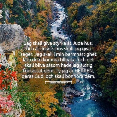 Picture 05 - Sakaria 10:6 SV1917 - Jag skall giva styrka åt Juda hus, och åt - Bible Verse Picture