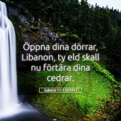 Picture 05 - Sakaria 11:1 SV1917 - Öppna dina dörrar, Libanon, ty eld skall nu - Bible Verse Picture