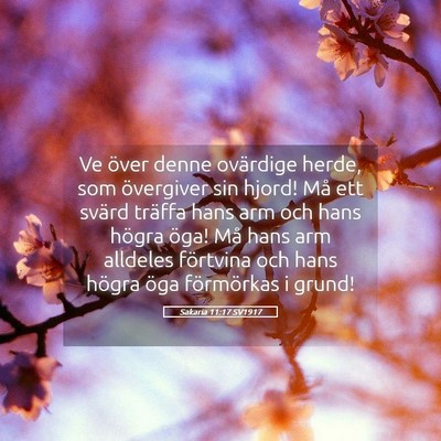 Picture 05 - Sakaria 11:17 SV1917 - Ve över denne ovärdige herde, som övergiver - Bible Verse Picture