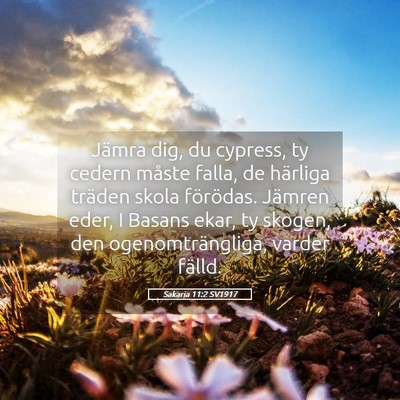 Picture 05 - Sakaria 11:2 SV1917 - Jämra dig, du cypress, ty cedern måste falla, - Bible Verse Picture
