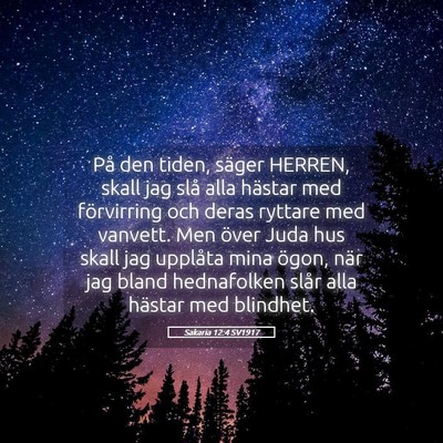 Picture 05 - Sakaria 12:4 SV1917 - På den tiden, säger HERREN, skall jag slå alla - Bible Verse Picture