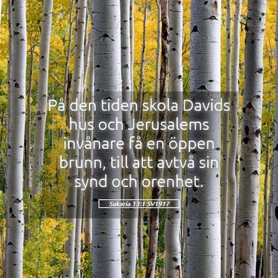 Picture 05 - Sakaria 13:1 SV1917 - På den tiden skola Davids hus och Jerusalems - Bible Verse Picture