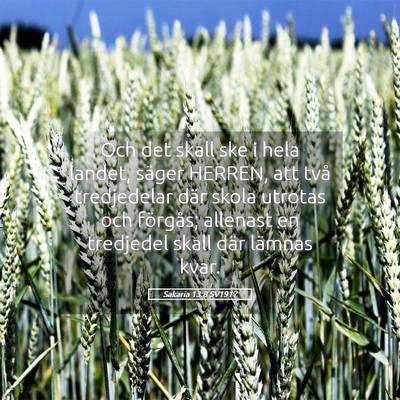 Picture 05 - Sakaria 13:8 SV1917 - Och det skall ske i hela landet, säger HERREN, - Bible Verse Picture