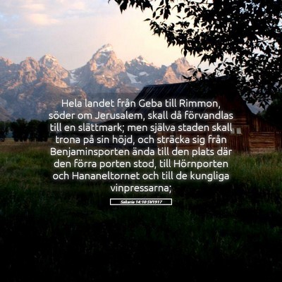 Picture 05 - Sakaria 14:10 SV1917 - Hela landet från Geba till Rimmon, söder om - Bible Verse Picture
