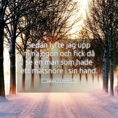 Picture 05 - Sakaria 2:1 SV1917 - Sedan lyfte jag upp mina ögon och fick då se en - Bible Verse Picture