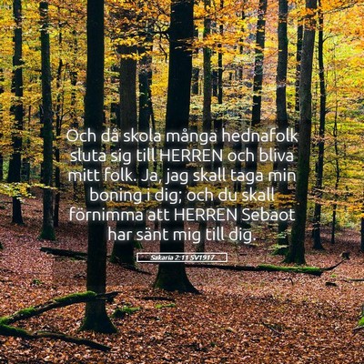 Picture 05 - Sakaria 2:11 SV1917 - Och då skola många hednafolk sluta sig till - Bible Verse Picture