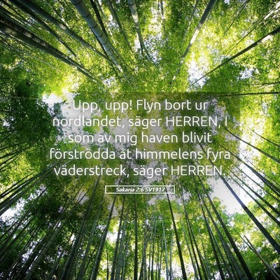 Picture 05 - Sakaria 2:6 SV1917 - Upp, upp! Flyn bort ur nordlandet, säger HERREN, - Bible Verse Picture
