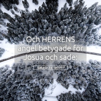 Picture 05 - Sakaria 3:6 SV1917 - Och HERRENS ängel betygade för Josua och - Bible Verse Picture