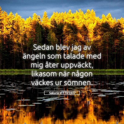 Picture 05 - Sakaria 4:1 SV1917 - Sedan blev jag av ängeln som talade med mig - Bible Verse Picture