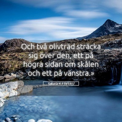 Picture 05 - Sakaria 4:3 SV1917 - Och två olivträd sträcka sig över den, ett - Bible Verse Picture