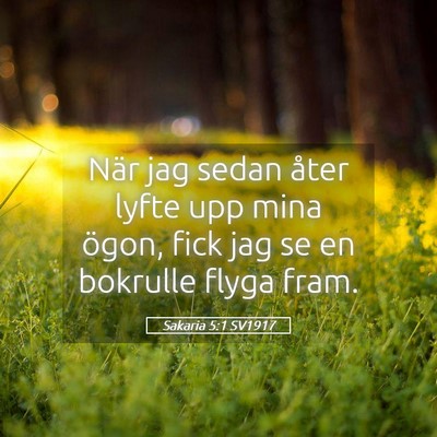 Picture 05 - Sakaria 5:1 SV1917 - När jag sedan åter lyfte upp mina ögon, fick - Bible Verse Picture