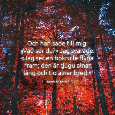 Picture 05 - Sakaria 5:2 SV1917 - Och han sade till mig: »Vad ser du?» Jag - Bible Verse Picture